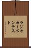 ラジオカーボン・テスト Scroll