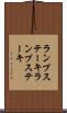ランプステーキ Scroll