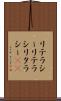 リテラシー Scroll