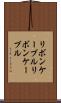 リボンケーブル Scroll