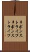 リボンストライプ Scroll