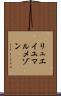 リュエイユマルメゾン Scroll