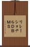 リレーショナルＤＢＭＳ Scroll