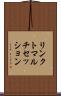 リンクトマルチセッション Scroll