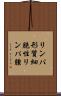 リンパ形質細胞性リンパ腫 Scroll