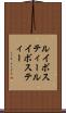 ルイボスティー Scroll