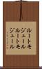 ルートモジュール Scroll