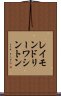 レイモンドリーワシントン Scroll