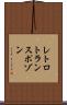 レトロトランスポゾン Scroll