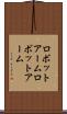 ロボットアーム Scroll