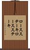 ロースステーキ Scroll