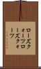 ローズクォーツ Scroll