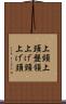 上頸 Scroll