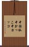 中括弧 Scroll
