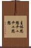 主体思想 Scroll