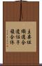 主要組織適合遺伝子複合体 Scroll