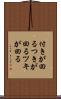 付きが回る Scroll
