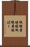 低線量被曝 Scroll