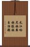元江哈尼族彝族傣族自治縣 Scroll