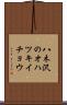 八木沢のオハツキイチョウ Scroll