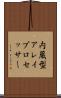 内蔵型アレイプロセッサー Scroll