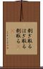 剥ぎ取る Scroll