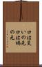 口は災いの元 Scroll
