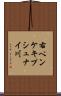 右ペンケキプシュナイ川 Scroll