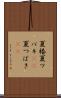 夏椿 Scroll