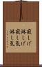 寂しげ Scroll