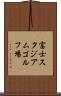 富士スタジアムゴルフ場 Scroll