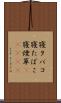 寝タバコ Scroll