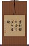 岩村田ヒカリゴケ産地 Scroll