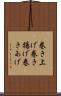 巻き上げ Scroll