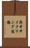 府中サイクリング道路 Scroll