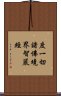 度一切諸佛境界智嚴經 Scroll