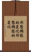 形態機能的変化 Scroll