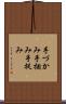 手づかみ Scroll