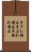 手ブレ補正 Scroll
