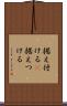 据え付ける(P) Scroll