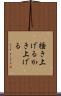 掻き上げる Scroll