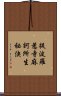 提波羅惹寺麻訶所生祕決 Scroll