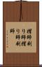 摺師 Scroll
