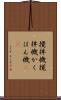攪拌機 Scroll