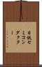 日鉄セミコンダクター Scroll