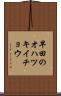 早田のオハツキイチョウ Scroll