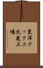 東洋テックス丸亀工場 Scroll