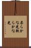 柔らかな光 Scroll