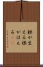 根が生える Scroll