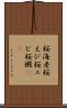 桜海老 Scroll